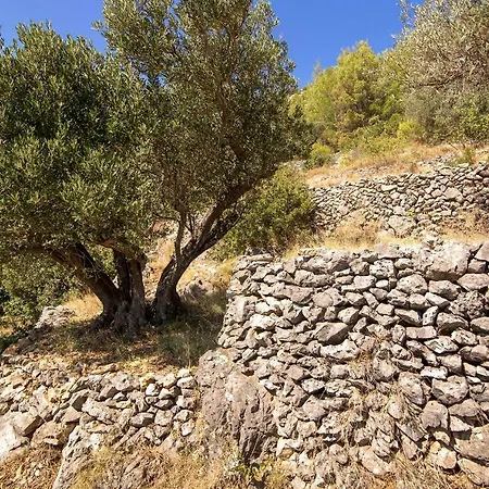 Villa House Abatros Babino Polje